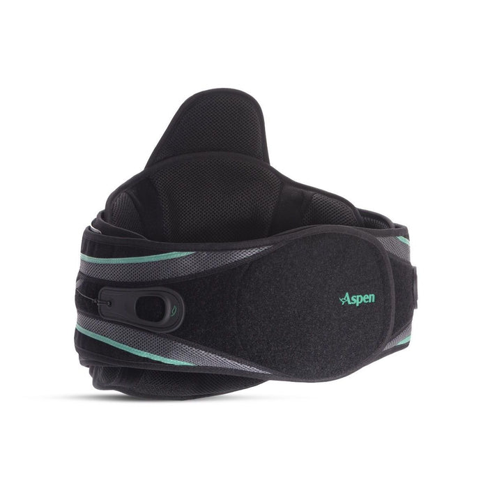 Aspen Vista 631 LSO LoPro Back Brace