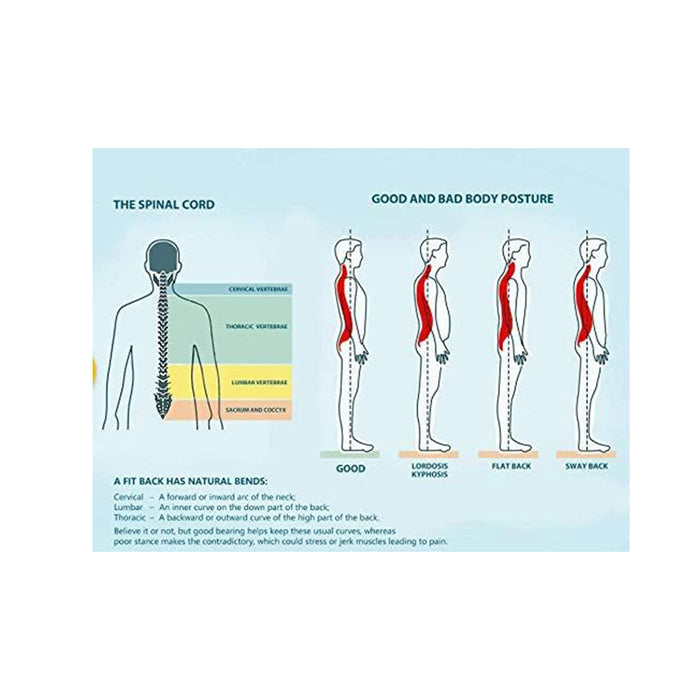 Medical Lumbosacral Orthosis Back Brace L0631 - Ultimate Spine Support ...