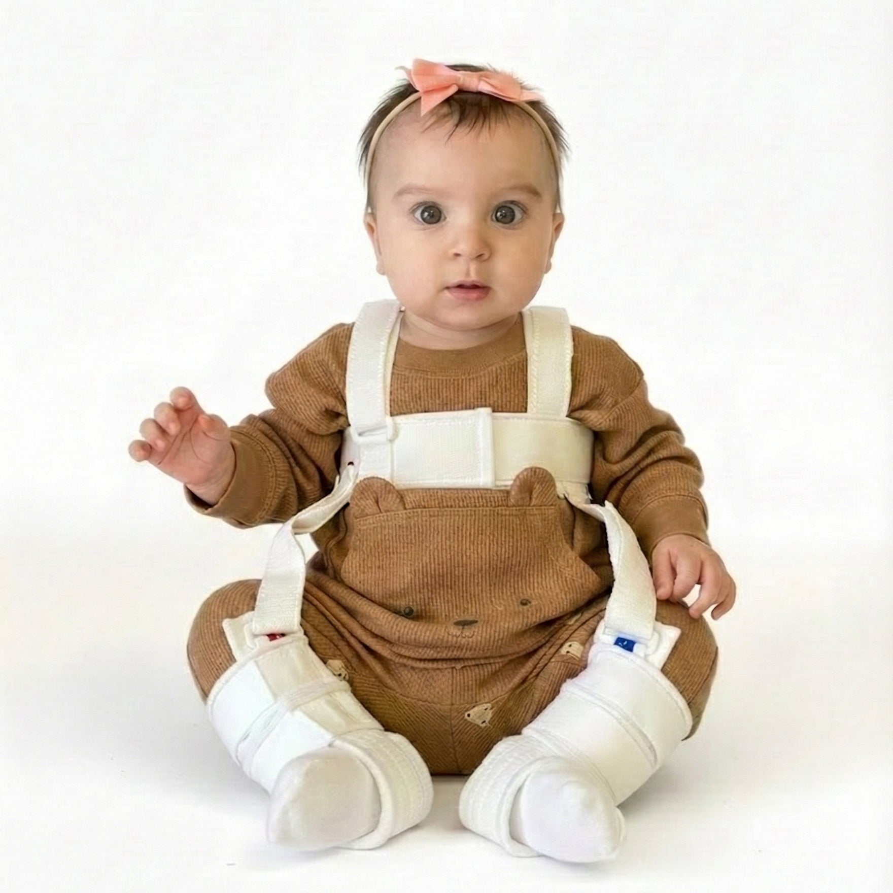 wheaton-pavlik-harness-